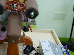 -美联众合动物医院·24h转诊中心