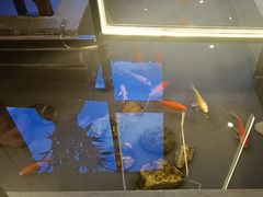 -徽韵人家·传承正宗徽菜(牡丹园店)