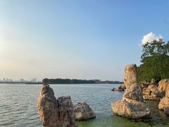 -东湖落雁景区