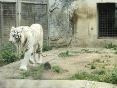 -黔灵山公园