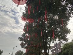 -武汉园博园(武汉自然博物馆)