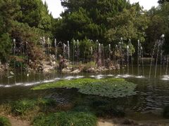 -叶家花园
