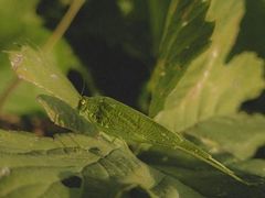-维乐口腔医院(星海湾分院)