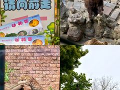 -赭山公园