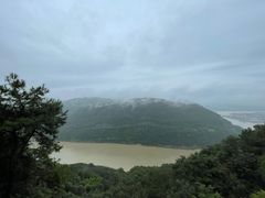 -铁山坪森林公园