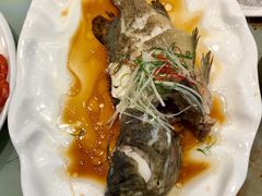 老虎斑-佳兰雅序融合菜(高新店)