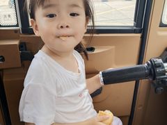 -蟹福家活蟹料理·豪华自助(绿洲假日酒店)