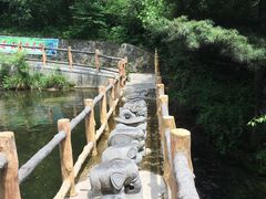 -王顺山国家森林公园