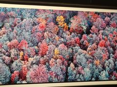 -罗红摄影艺术馆