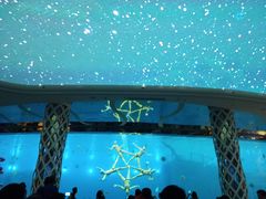 -瑞德姆美人鱼海底演艺主题餐厅(亚龙湾店)