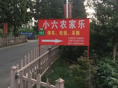-小六农家乐(崇明西沙湿地店)