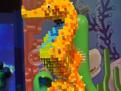 -上海乐高探索中心