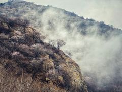 -阳台山自然风景区