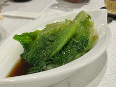 -潮江春(阳光店)