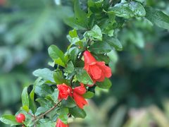 -茅草房·河畔园林火锅