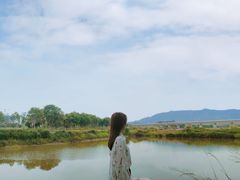 -光明小镇欢乐田园