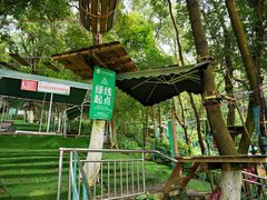 -天鹿湖森林公园