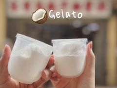 -洪馨椰子