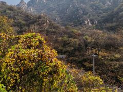 -大岭沟猕猴桃谷风景区