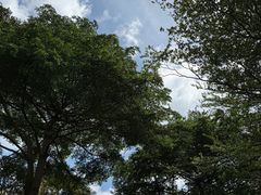 -海珠湖公园