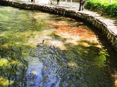 -水磨沟公园