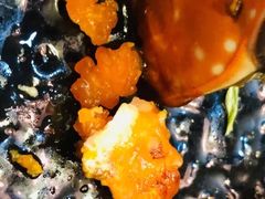 生煎蟹-渔娘渔家丹东海鲜(东直门店)