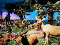 -国家自然博物馆