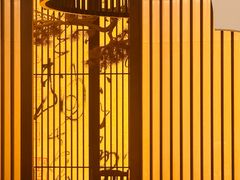 -苏面斋·本地传统苏式面馆