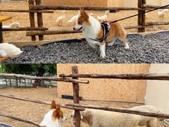 -HERRE·FARM 赫尔露营农场·团建聚会包场