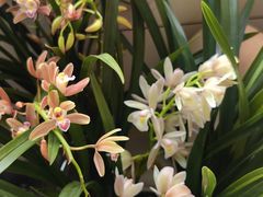 -金陵花卉交易市场