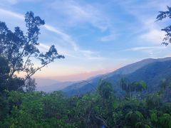 -海南霸王岭国家森林公园