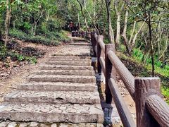 -上海佘山国家森林公园天马山园