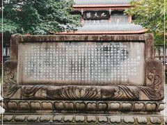 -塔子山公园