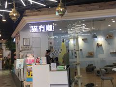 -猫冇咖·家门口的撸猫馆(大融城店)