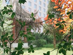 -九献创意菜·牛排馆(亮马河花园店)