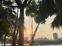 -南宁南湖公园