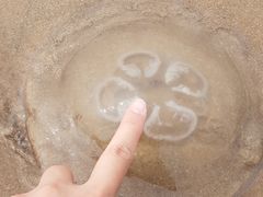 -北戴河东海水浴场