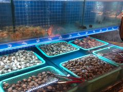 -蟹将军·松叶蟹和牛日料放题自助(K11店)