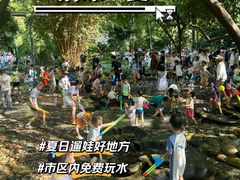 -成都市活水公园