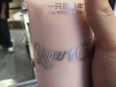 -一只酸奶牛(兰州中心店)