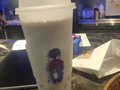 -TD66高山铁皮石斛养生茶饮