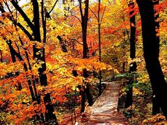 -丹东天桥沟景区