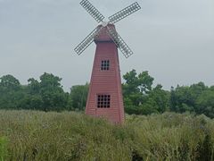 -同里国家湿地公园