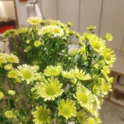 -MIDA蜜哒•科技逆龄美肤连锁