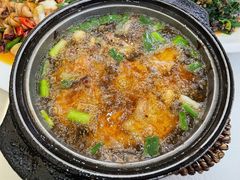 -苏启渔港(云南北路店)