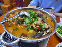 -全乐鱼馆·淳牌有机鱼直营店