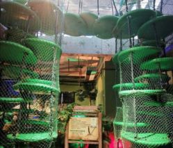 -恐龙探索乐园(磁器口店)