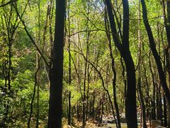 -玉渡山自然风景区