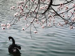 -颐和园
