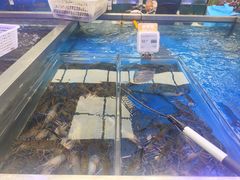 -盒马鲜生(大成店)